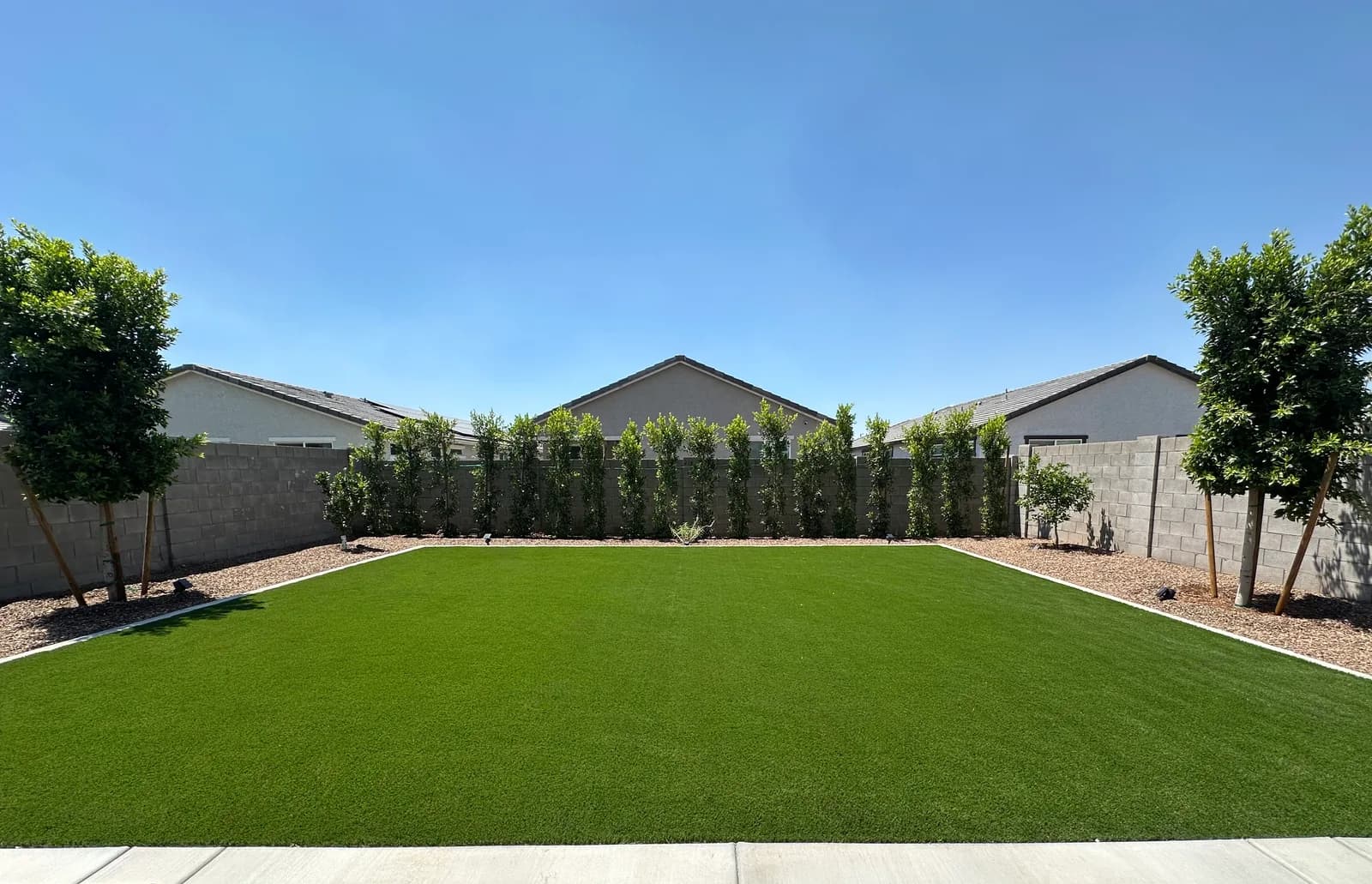 Backyard turf with privacy-hedge border