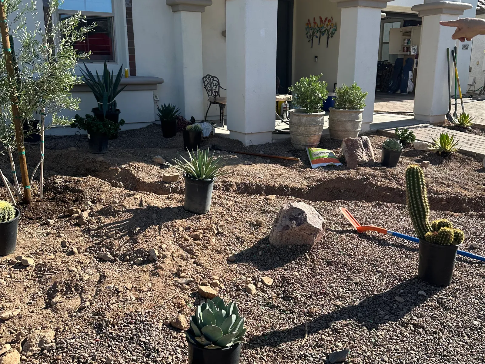 Desert design build — before